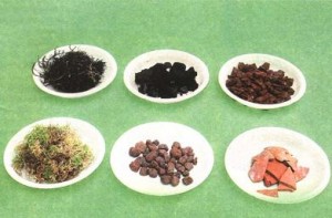 substrat-dlya-komnatnyih-rasteniy
